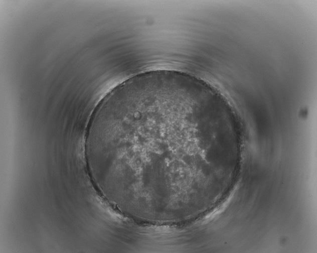 X0000094351121200711091446