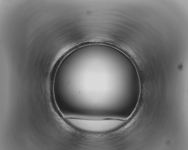 X0000094351122200711091446