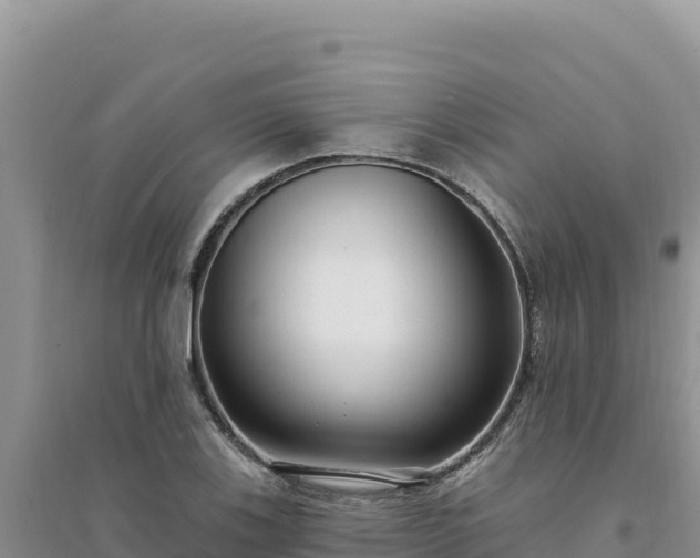 X0000094351123200711091446