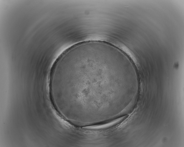 X0000094351124200711091446