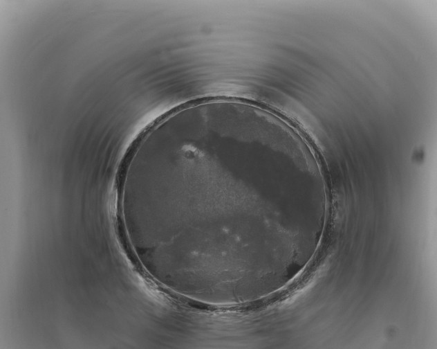 X0000094351125200711091446