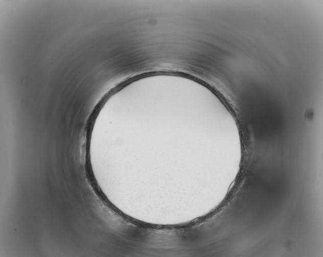 X0000094351126200711091446