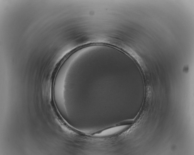 X0000094351127200711091446