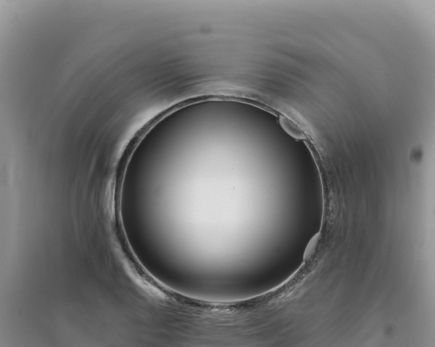 X0000094351128200711091446