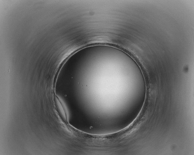 X0000094351129200711091446