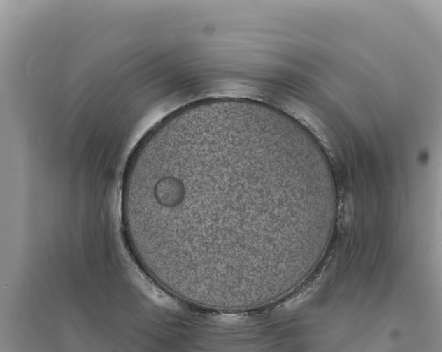 X0000094351130200711091446