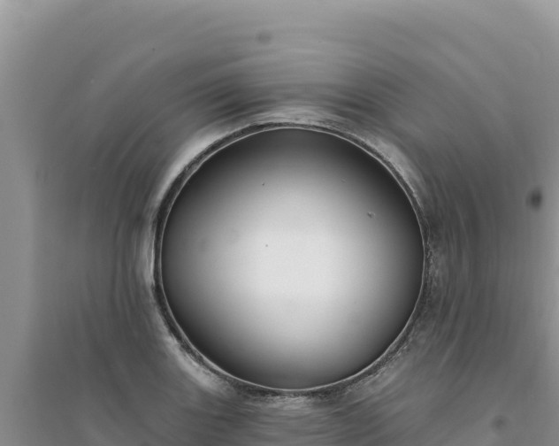 X0000094351131200711091446