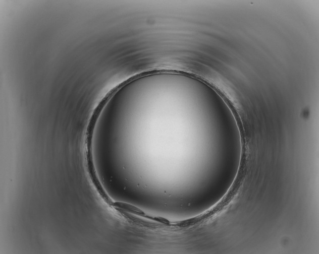 X0000094351133200711091446