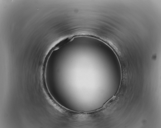 X0000094351134200711091446