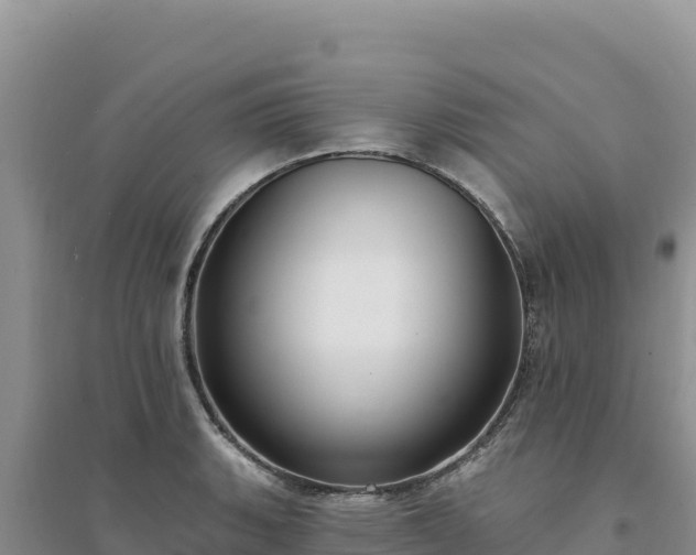 X0000094351135200711091446