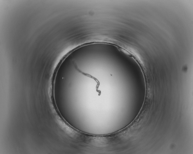 X0000094351136200711091446