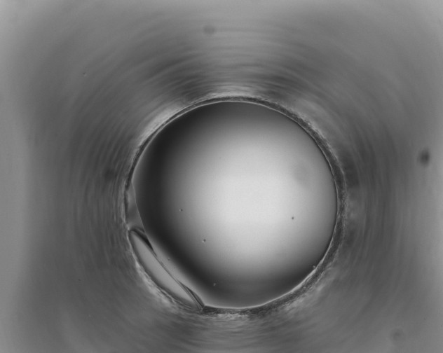 X0000094351137200711091446