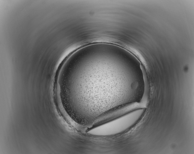 X0000094351138200711091446