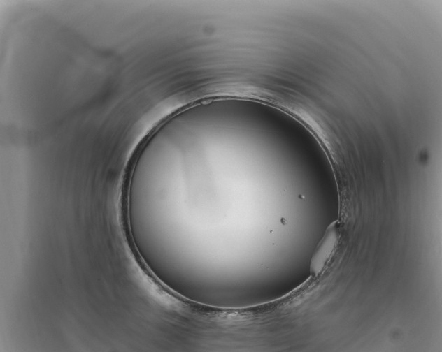 X0000094351139200711091446