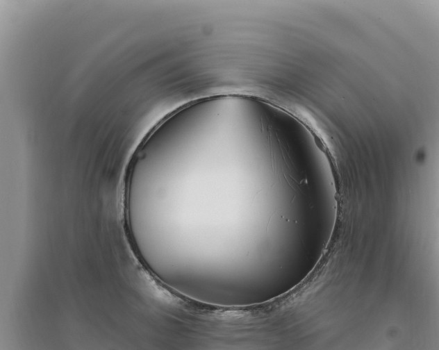 X0000094351140200711091446