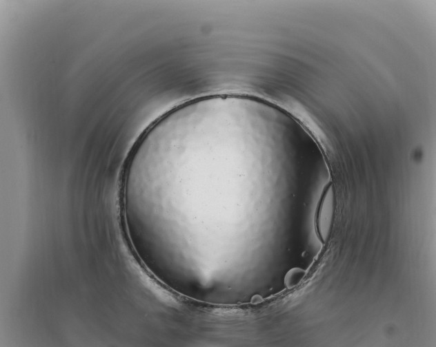 X0000094351142200711091446