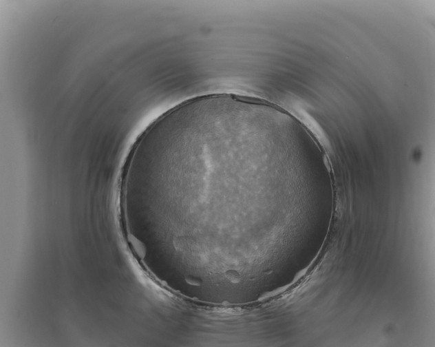 X0000094351144200711091446