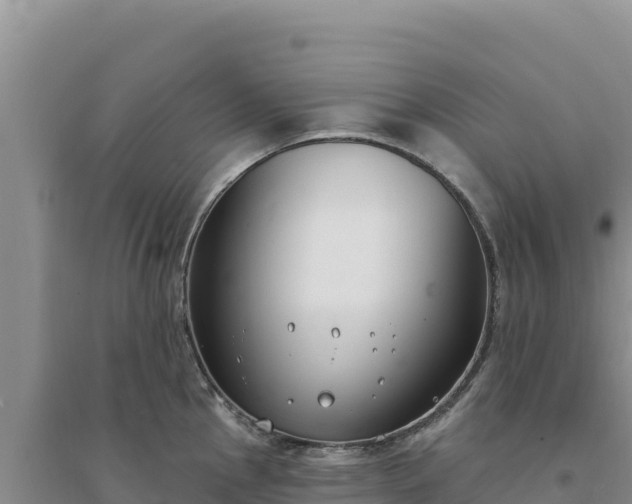 X0000094351145200711091446