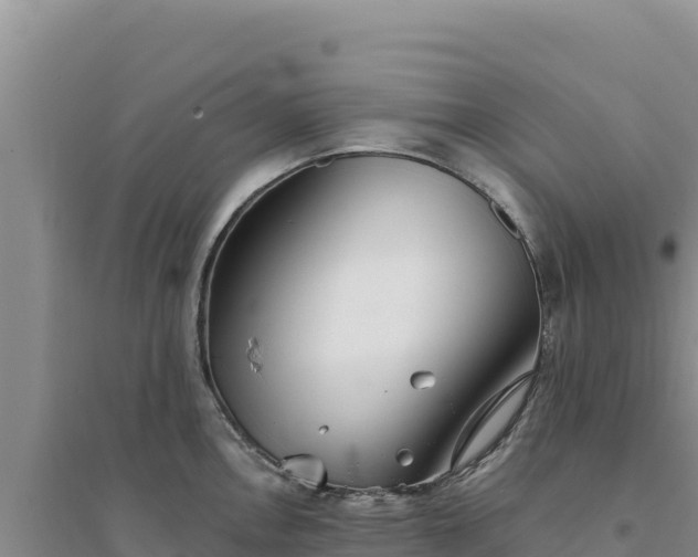 X0000094351146200711091446