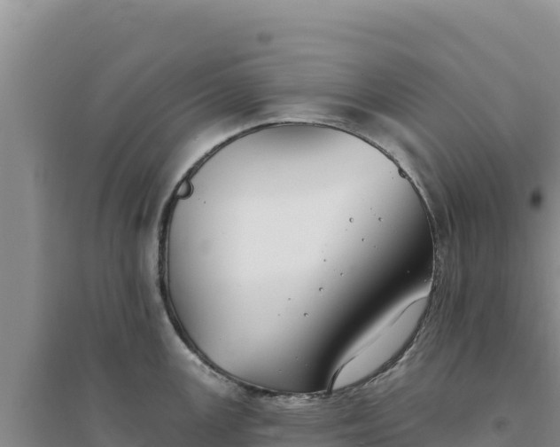 X0000094351147200711091446