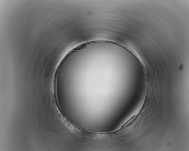 X0000094351148200711091446