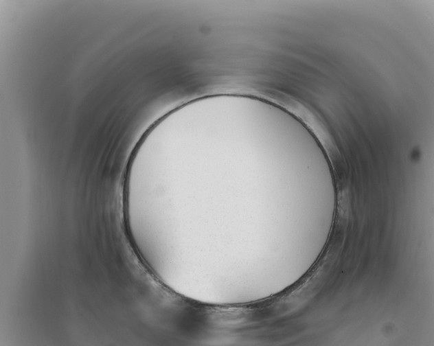 X0000094351150200711091446