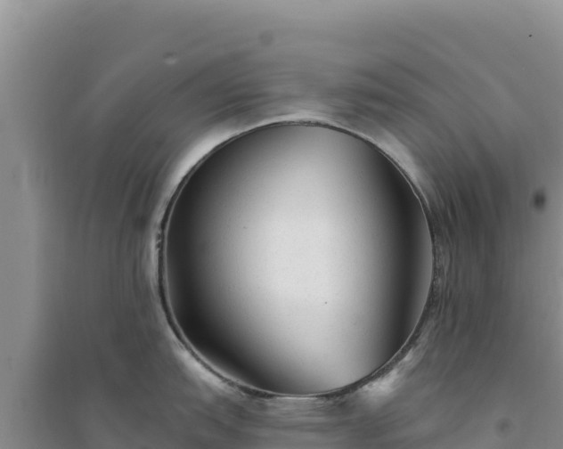 X0000094351151200711091446