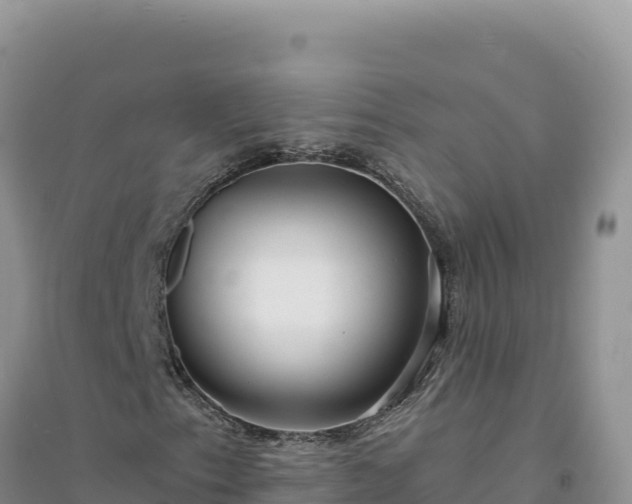 X0000094351153200711091445