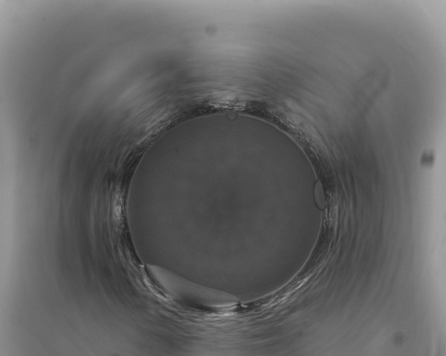 X0000094351154200711091445