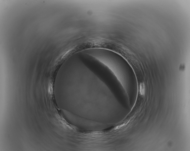 X0000094351155200711091445