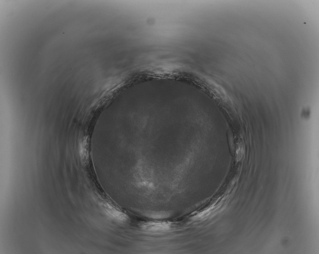 X0000094351156200711091445