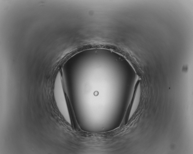 X0000094351157200711091445