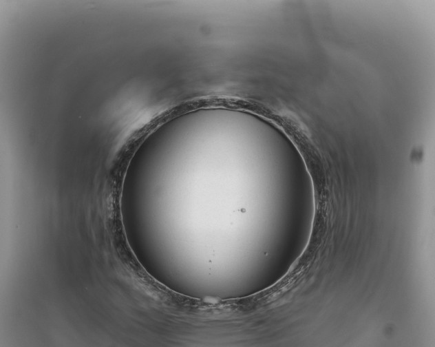 X0000094351159200711091445