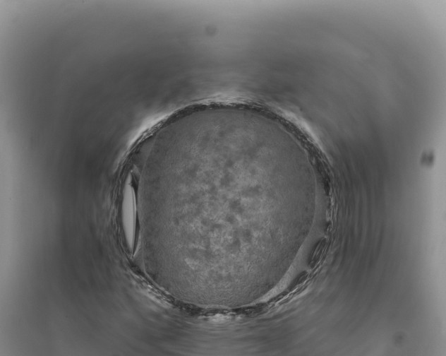 X0000094351160200711091445