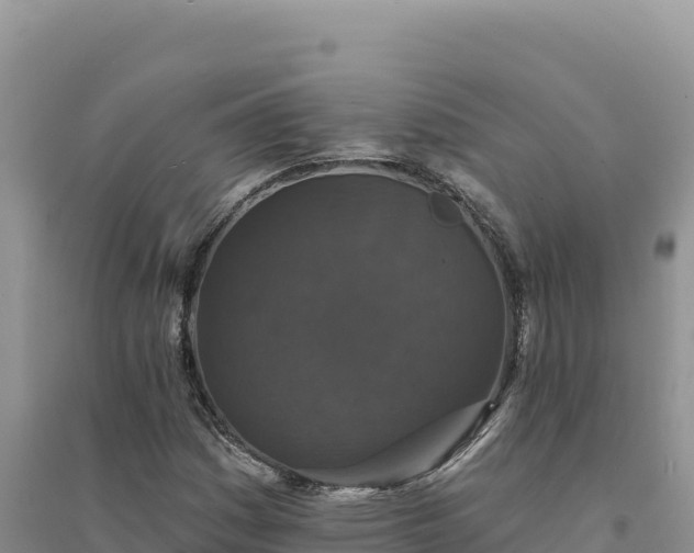 X0000094351161200711091445