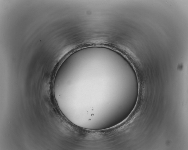 X0000094351162200711091445