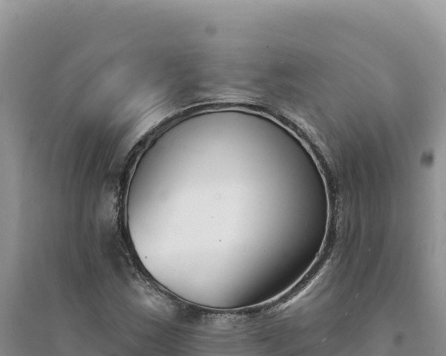 X0000094351163200711091445