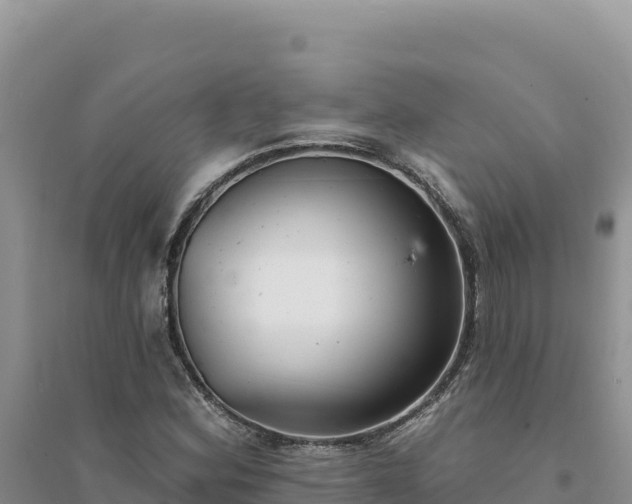 X0000094351164200711091445