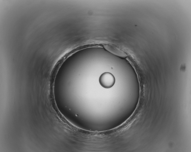 X0000094351165200711091445