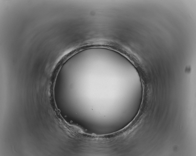 X0000094351166200711091445