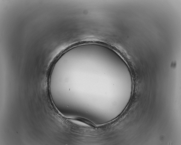 X0000094351167200711091445