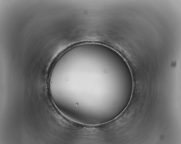 X0000094351168200711091445