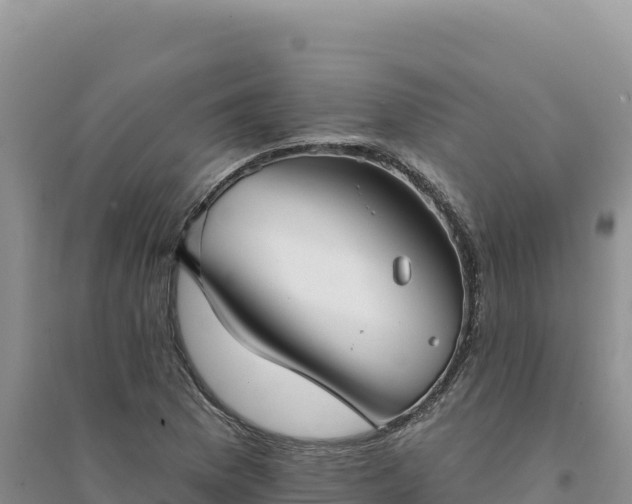 X0000094351169200711091445