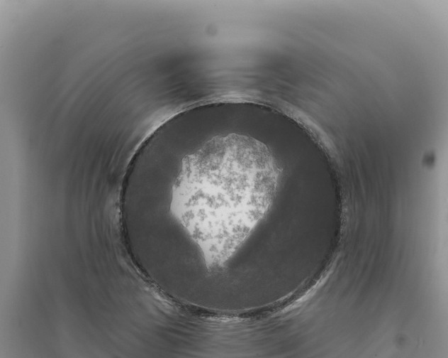 X0000094351170200711091445