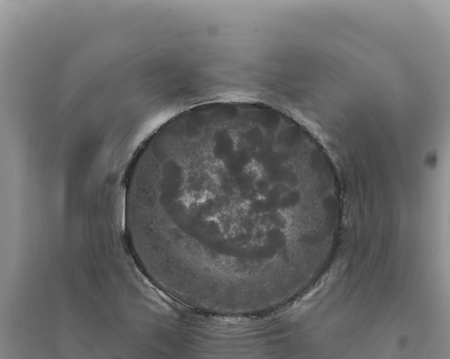 X0000094351171200711091445