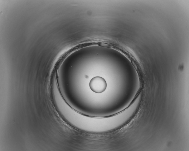 X0000094351172200711091445