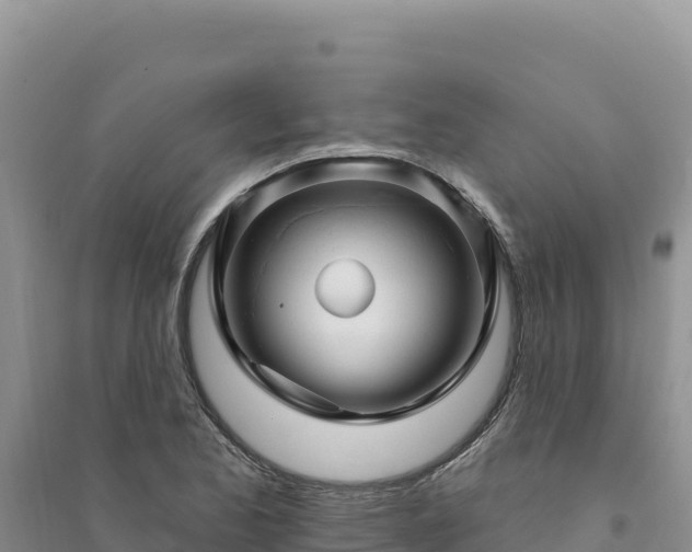 X0000094351173200711091445