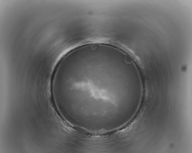 X0000094351174200711091445