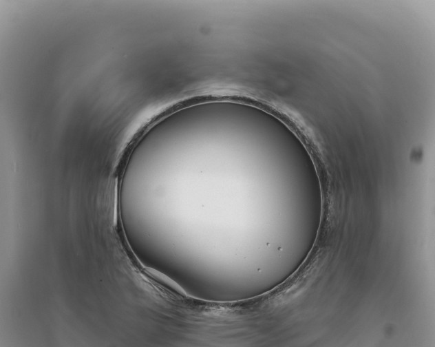 X0000094351175200711091445