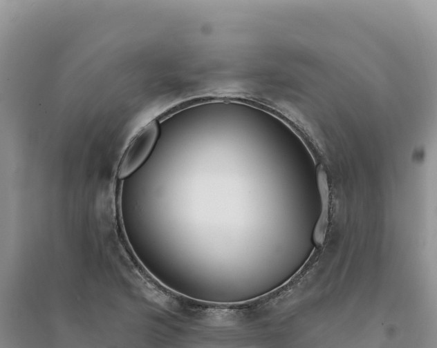 X0000094351176200711091445